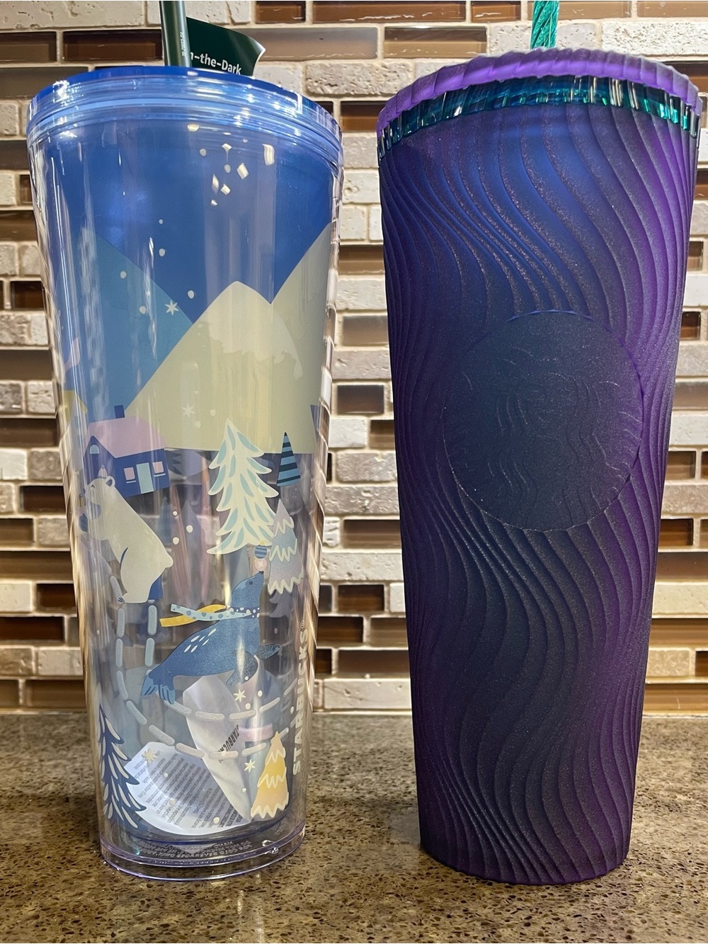 Starbucks Blue Winter Scene & Purple Textured Tumbler Duo